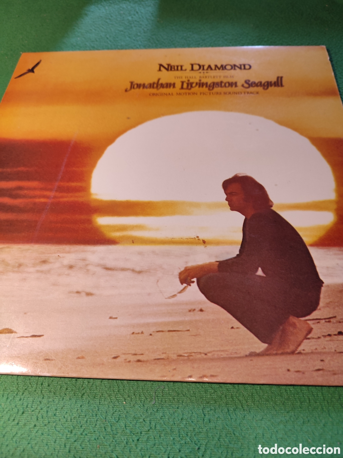 Discos de vinilo: Neil Diamond - Jonathan Livingston seagull - Foto 1
