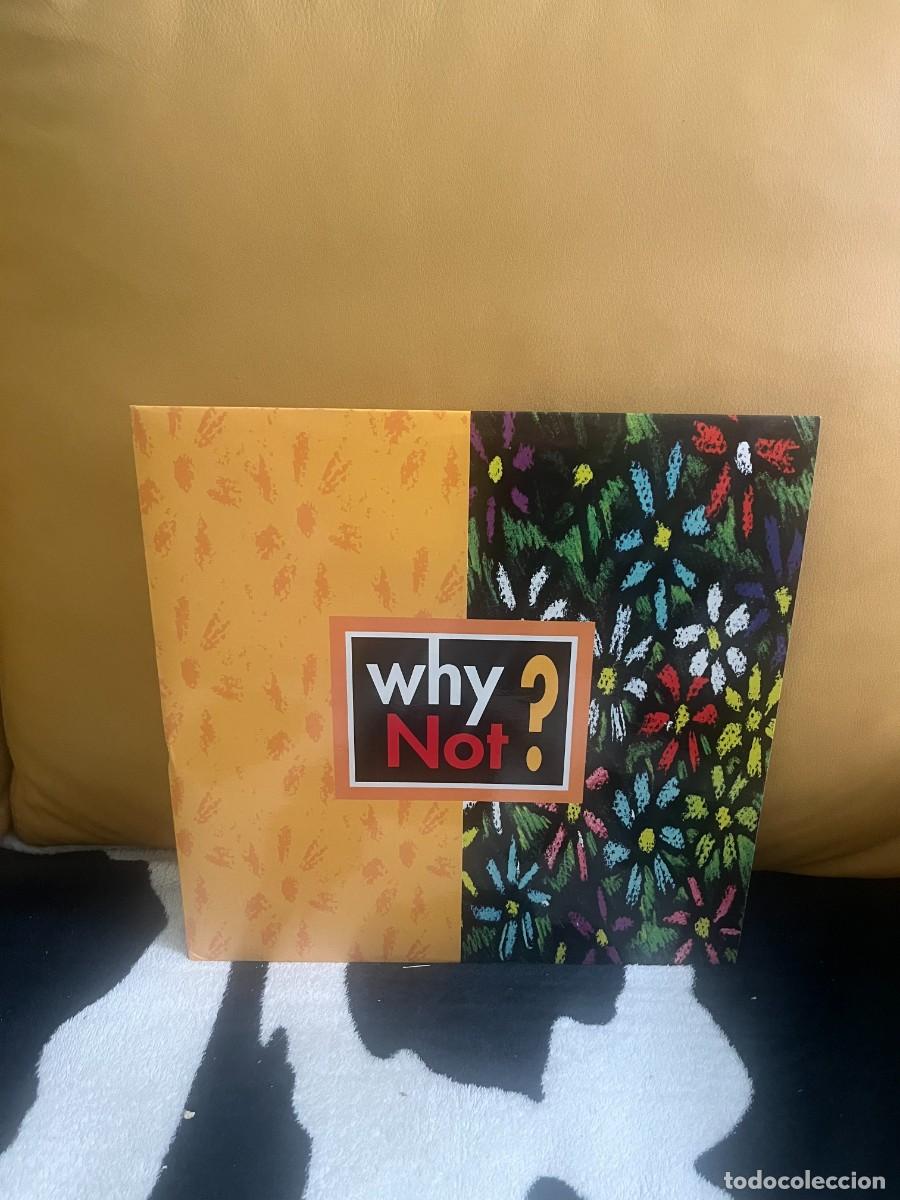 Discos de vinilo: Why Not? &lrm;&ndash; Why Not? - Foto 1