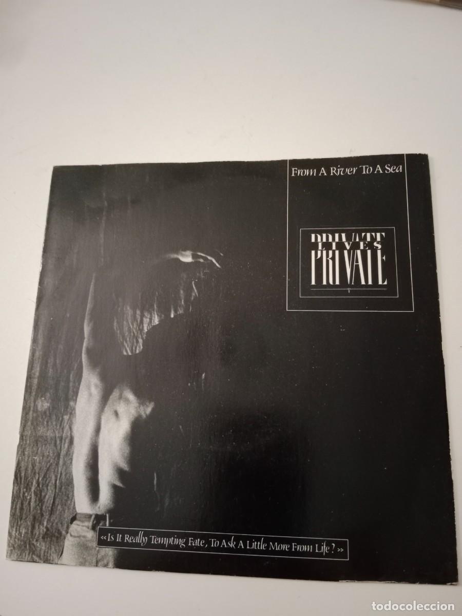 Discos de vinil: PRIVATE LIVES - FROM A RIVER TO A SEA. SINGLE