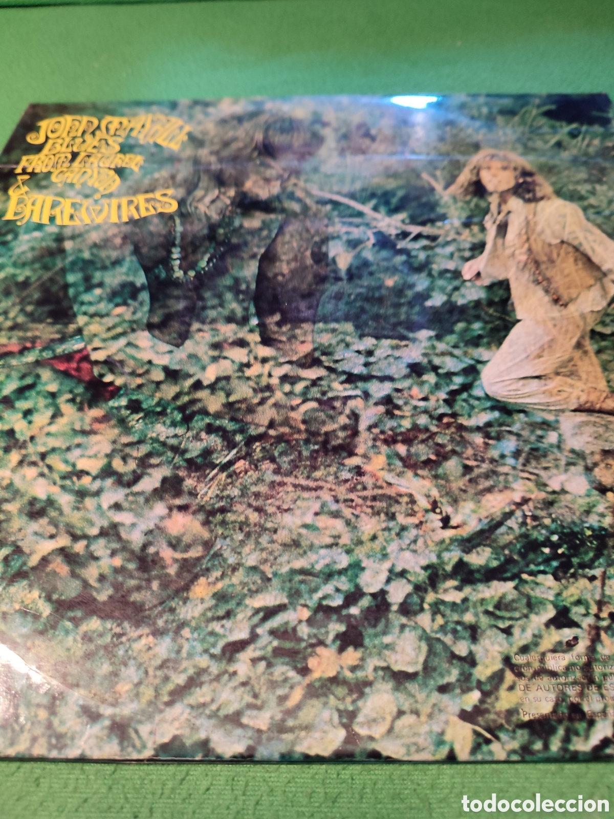 Discos de vinilo: John Mayall - Blues from Laurel..+ Barewire 2Lps - Foto 3