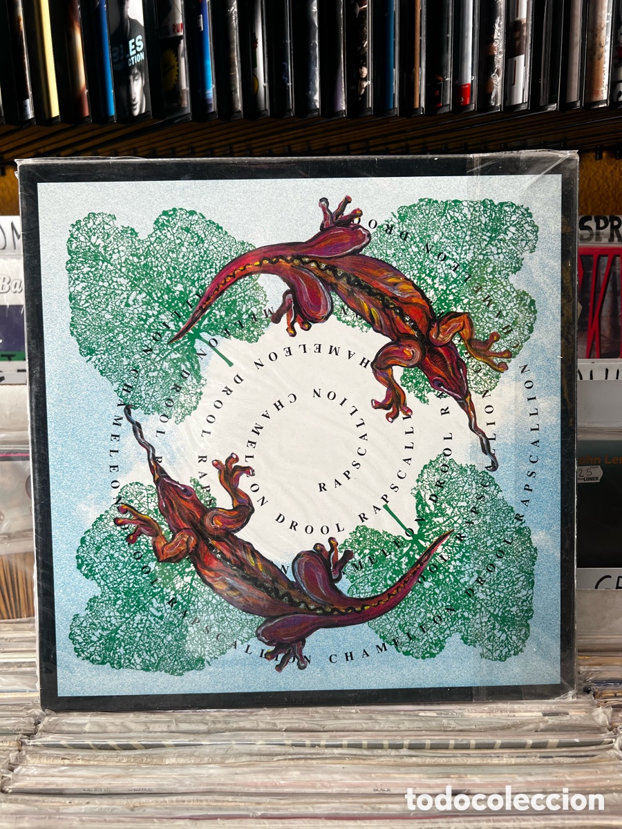 Discos de vinilo: Rapscallion Chameleon Drool - Foto 1