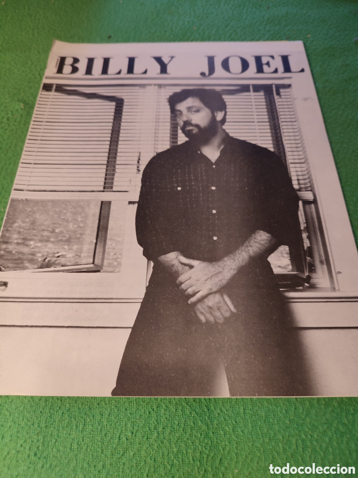 Discos de vinilo: Billy Joel - The Nylon curtain - Foto 6