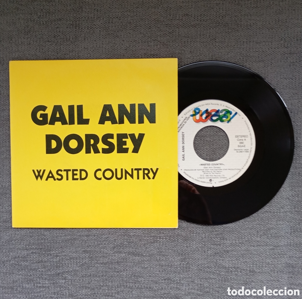 Discos de vinil: Gail Ann Dorsey. Wasted Country/ Wasted Country. Single 7&rdquo; PROMO, a&ntilde;o 1988.