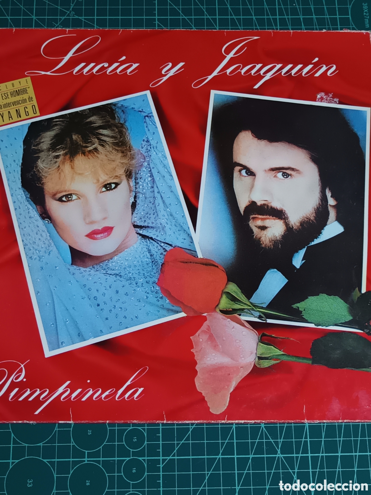 Discos de vinilo: Luc&iacute;a y Joaqu&iacute;n pimpinela - Foto 1
