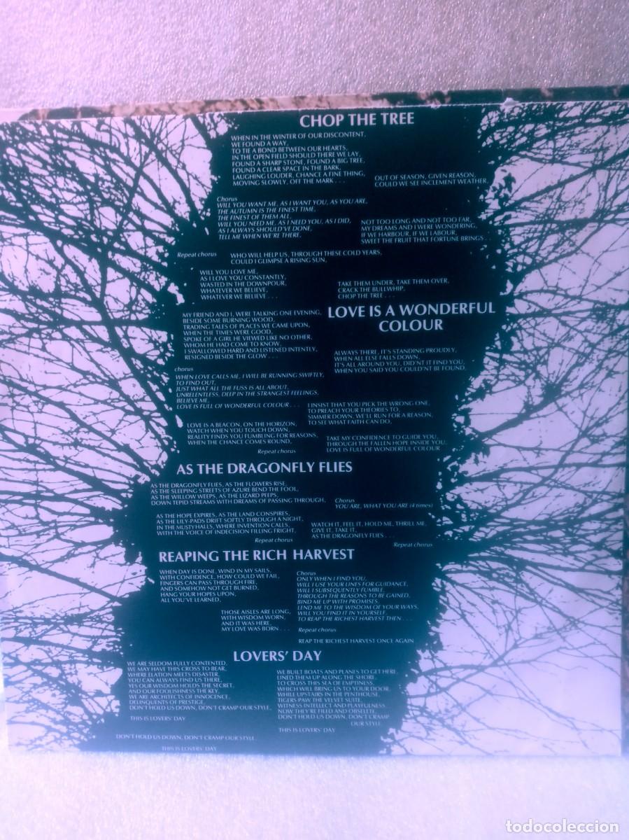 Discos de vinilo: THE ICICLE WORKS-ICICLE WORKS. - Foto 2