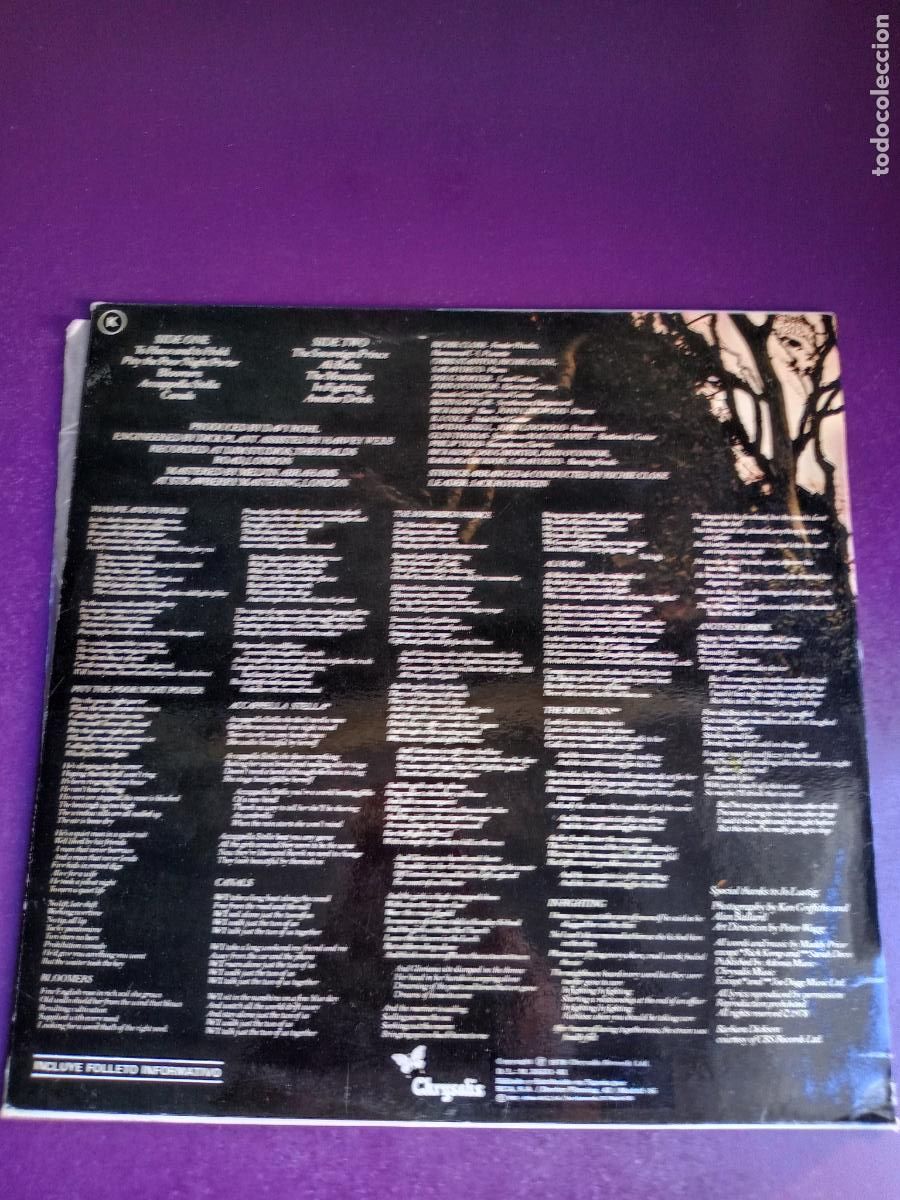 Discos de vinilo: Maddy Prior &ndash; Changing Winds - LP chrysalis 1981 - FOLK 70S -PENTANGLE - Foto 2
