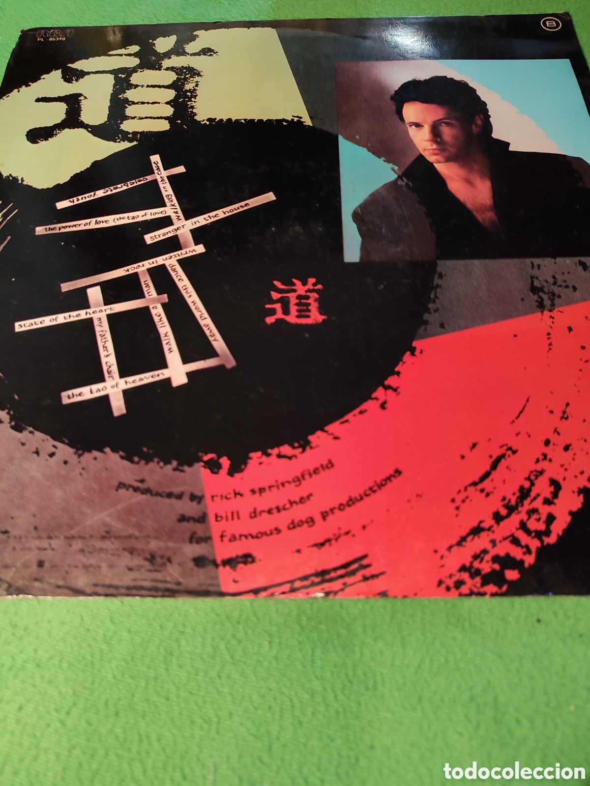 Discos de vinilo: Rick Springfield - Tao vinilo promo - Foto 2