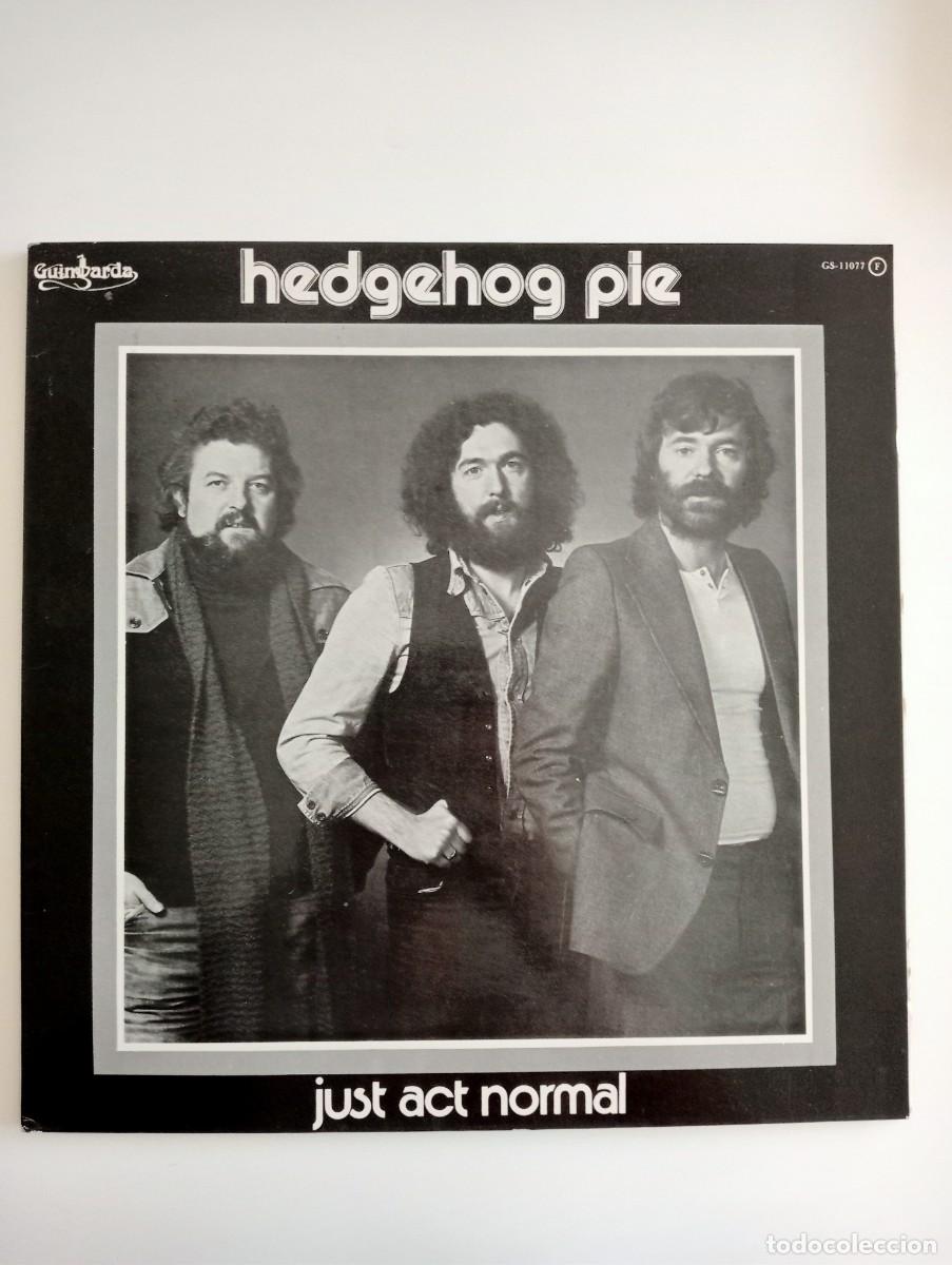 Discos de vinilo: Hedgehog Pie - Just Act Normal (LP, Gat) 1980 - Foto 1