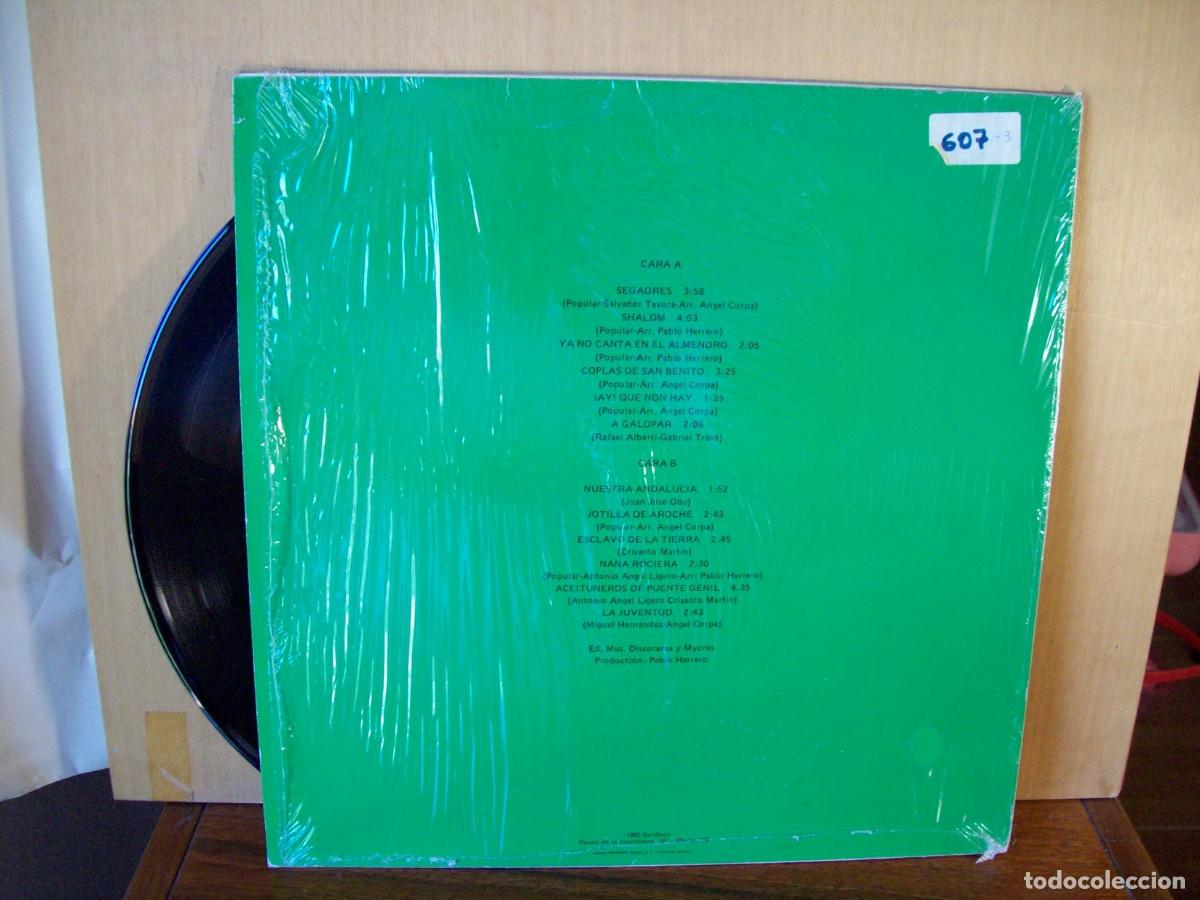 Discos de vinilo: JARCHA - NUESTRA ANDALUCIA - LP 1983 - Foto 2