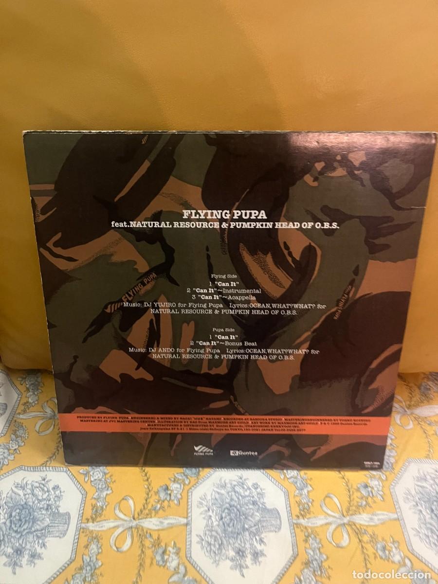 Discos de vinilo: Flying Pupa Can It maxi - Foto 2
