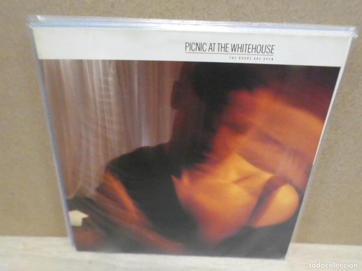 Discos de vinil: ARKANSAS1980 LOTT385 LP BUEN ESTADO DE VINILO PICNIC AT THE WHITEHOUSE