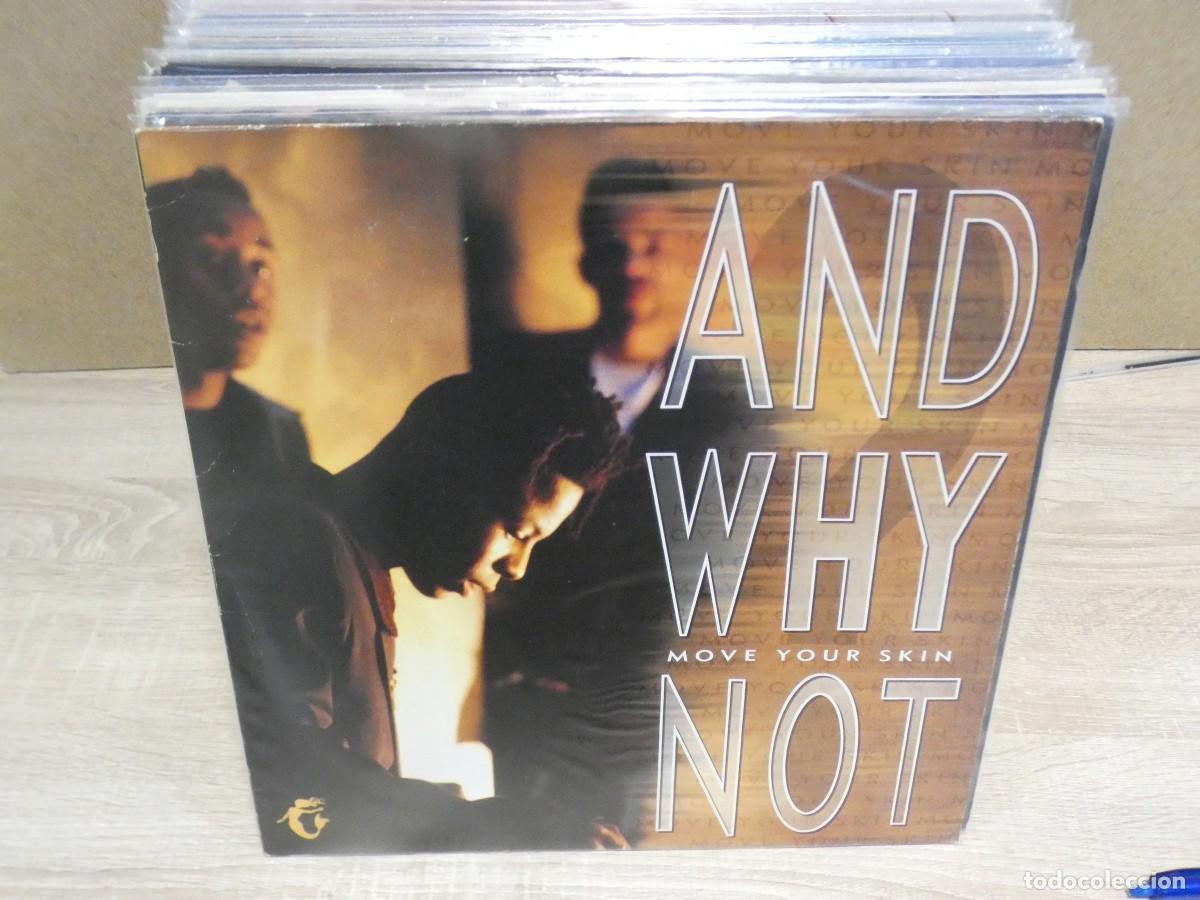 Dischi in vinile: ARKANSAS1980 LOTT385 BUEN ESTADO DE VINILO AND WHY NOT - MOVE YOUR SKIN