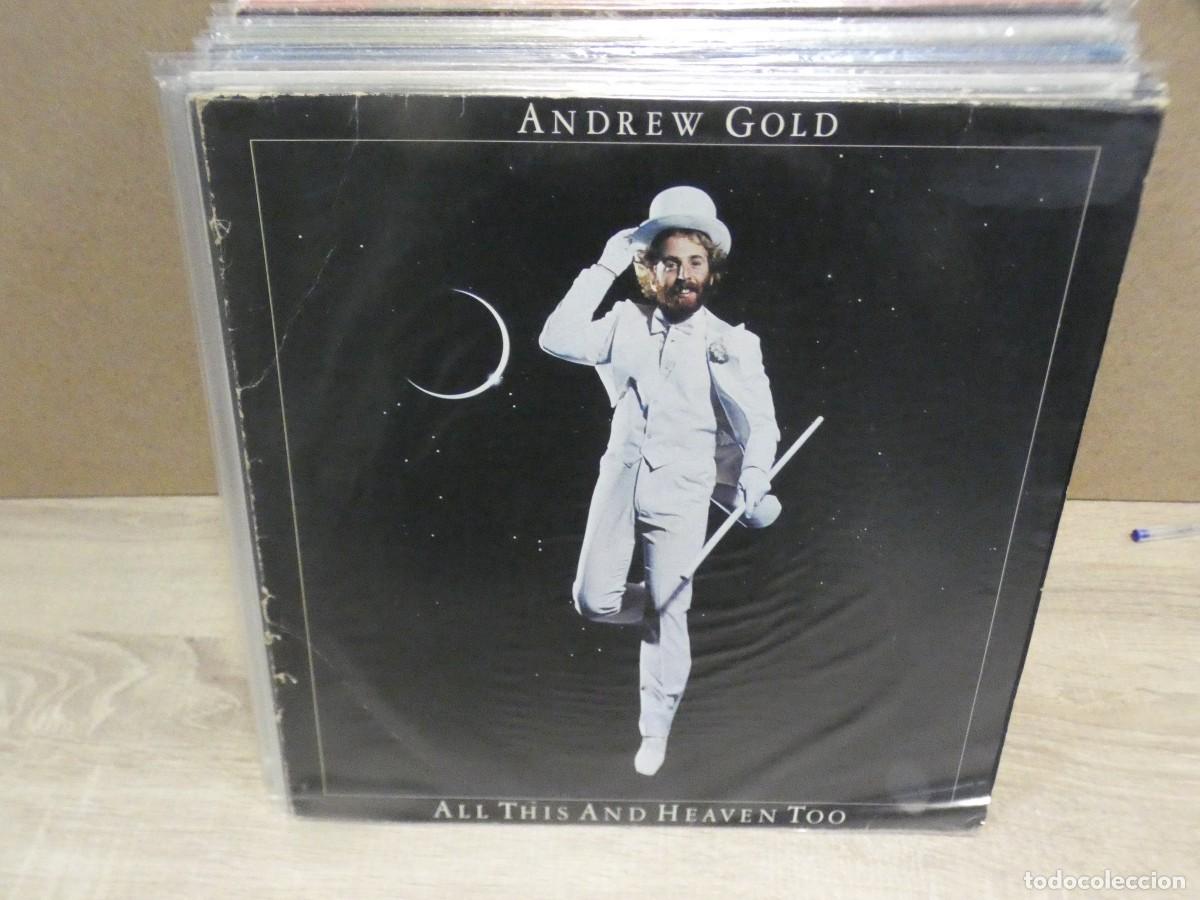 Discos de vinil: ARKANSAS1980 LOTT385 BUEN ESTADO DE VINILO ANDREW GOLD