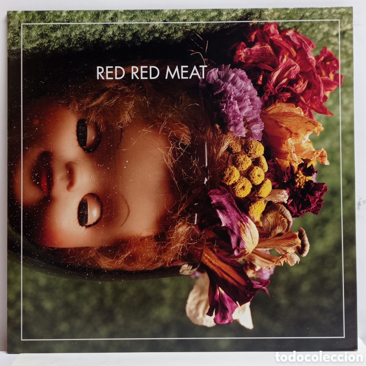 Discos de vinilo: RED RED MEAT, BUNNY GETS PAID (SUBPOP 1995) - Foto 1