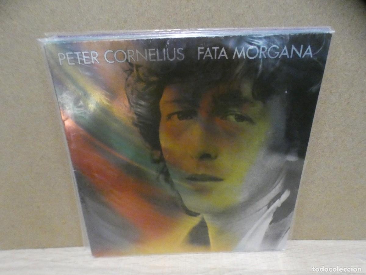 Discos de vinil: ARKANSAS1980 LOTT385 VINILO BUEN ESTADO PETER CORNELIUS