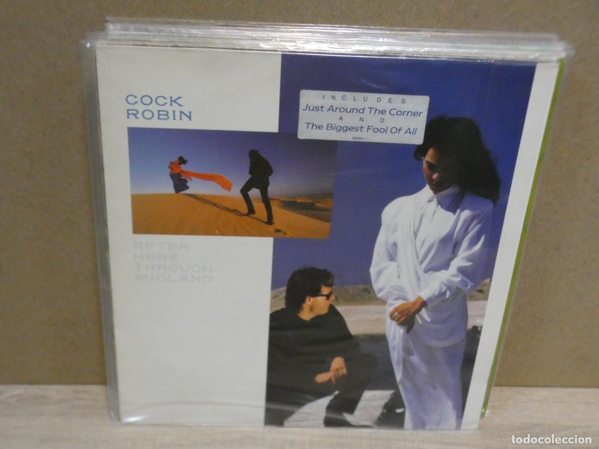 Dischi in vinile: ARKANSAS1980 LOTT385 VINILO LEVE USO USO CORRECTO COCK ROBIN