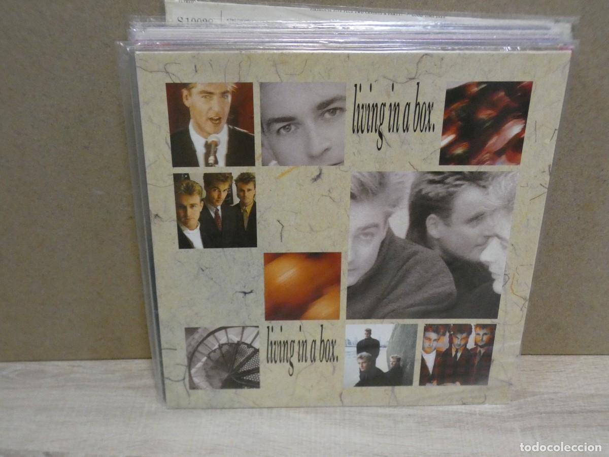 Dischi in vinile: ARKANSAS1980 LOTT385 VINILO LEVE USO USO CORRECTO LIVING IN A BOX