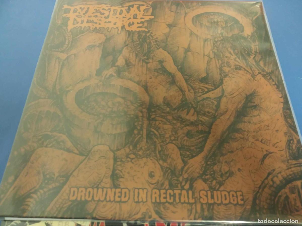 Discos de vinilo: Intestinal Disgorge &lrm;&ndash; Drowned In Rectal Sludge - Foto 1