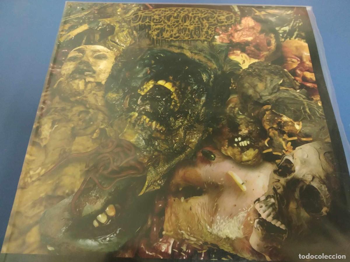 Discos de vinilo: Disgorged Foetus - the GORE collection (2x12&rdquo;, Comp, Ltd) - Foto 1