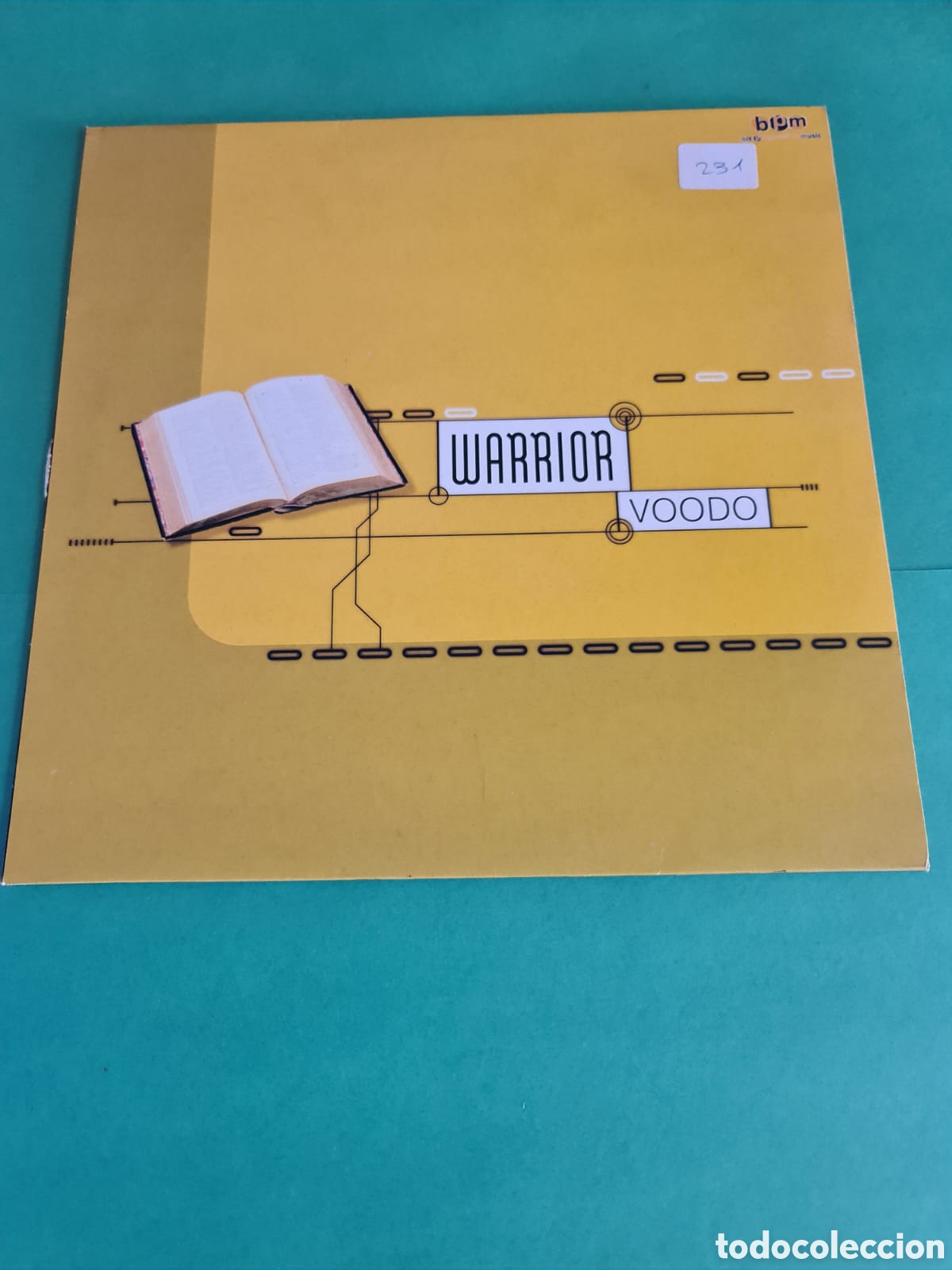 Discos de vinilo: Vinilo Warrior- Voodoo - Foto 1