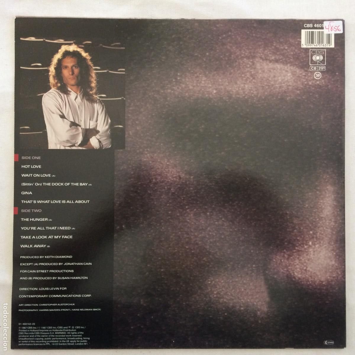 Discos de vinilo: Michael Bolton &lrm;&ndash; The Hunger Holanda 1987 CBS - Foto 2