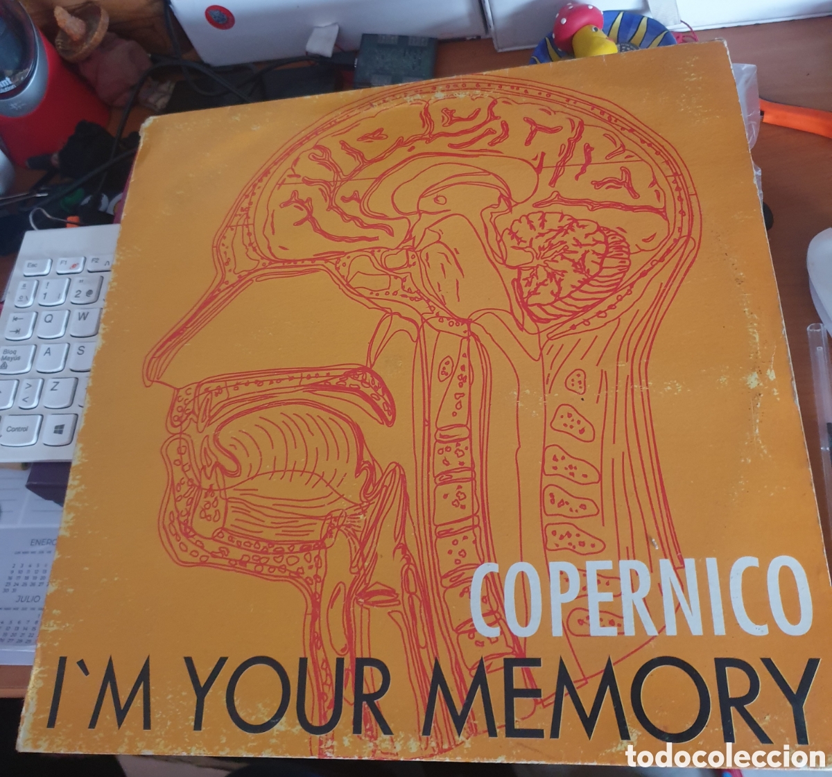 Discos de vinilo: Copernico - Im your memory - Foto 1