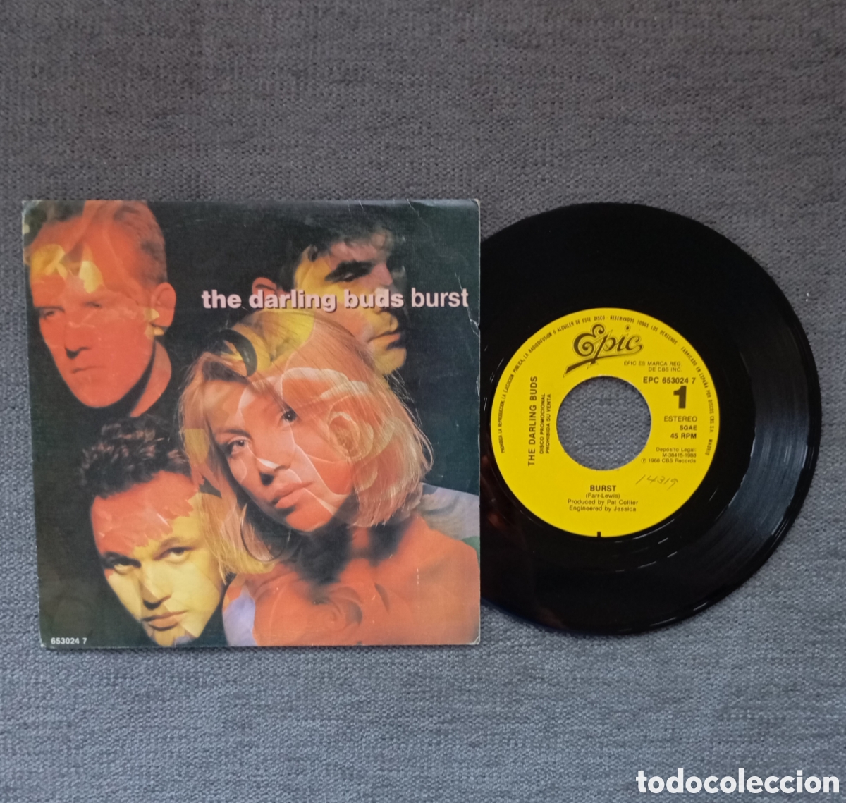 Dischi in vinile: The Darling Buds. Burts. Single 7&rdquo;PROMO, a una sola cara, a&ntilde;o 1988.
