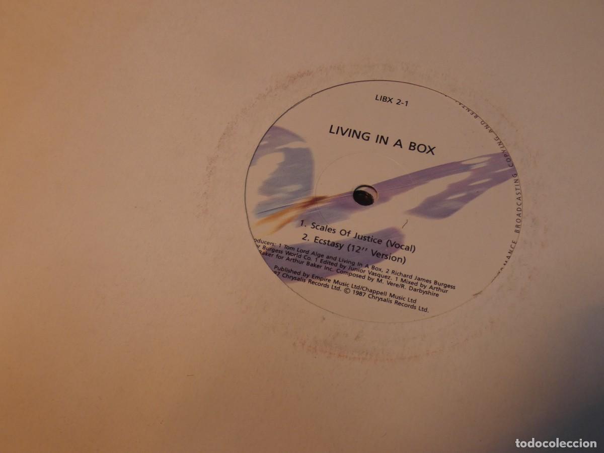 Discos de vinil: ARKANSAS1980 CAJJ383 MAXISINGLE OCHENTERO VINILO BUEN ESTADO LIVING IN A BOX