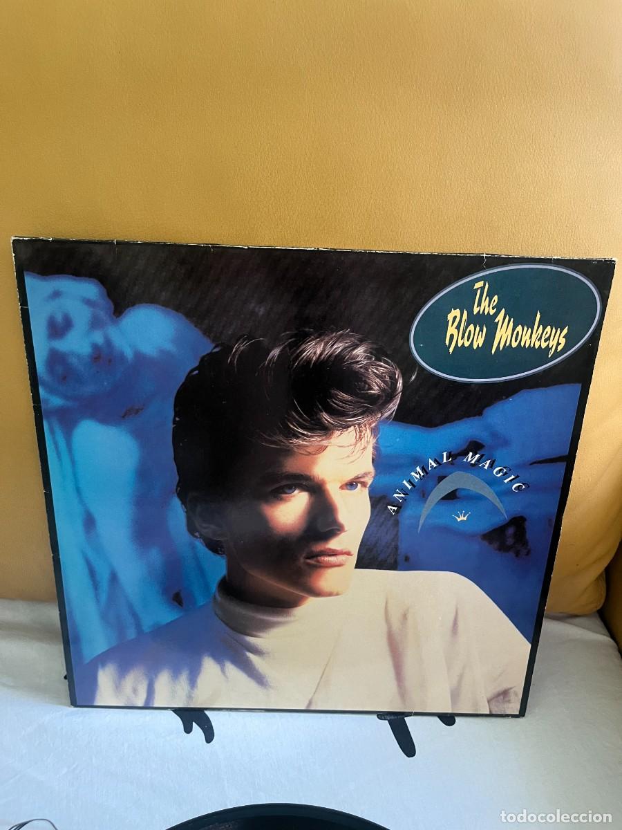 Discos de vinilo: The Blow Monkeys &lrm;&ndash; Animal Magic - Foto 1