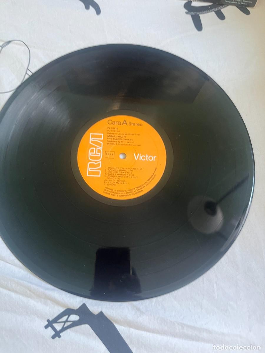 Discos de vinilo: The Blow Monkeys &lrm;&ndash; Animal Magic - Foto 3