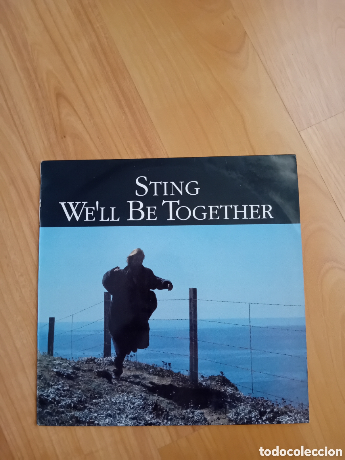 Discos de vinilo: STING. WELL BE TOGETHER - Foto 1