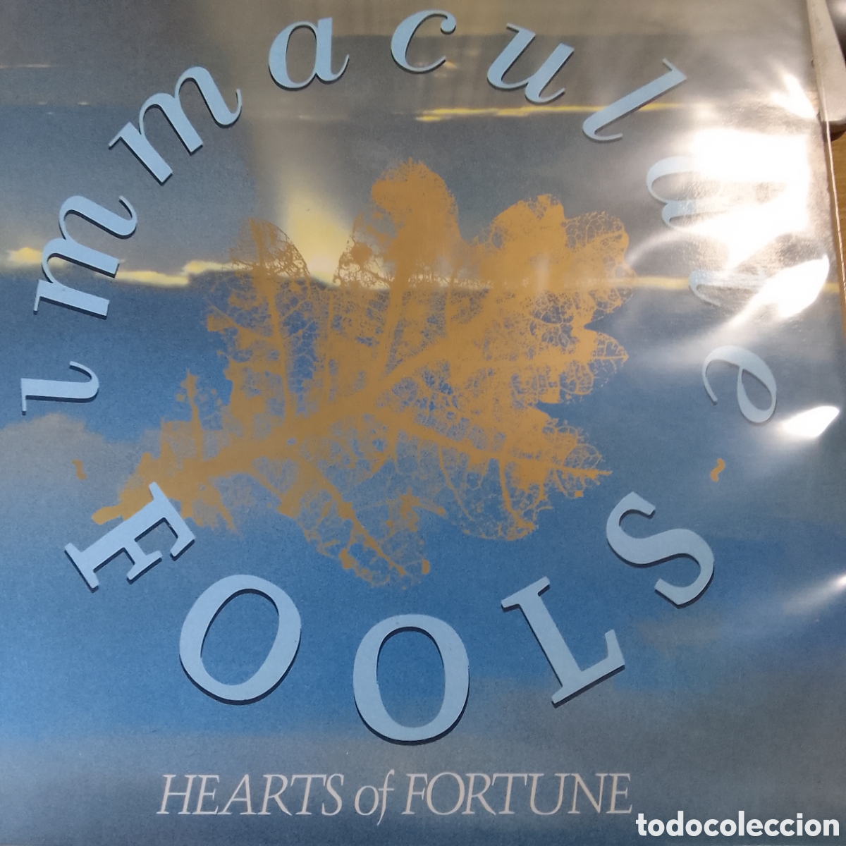 Discos de vinilo: INMACULATE FOOLS HEARTS OF FORTUNE - Foto 1