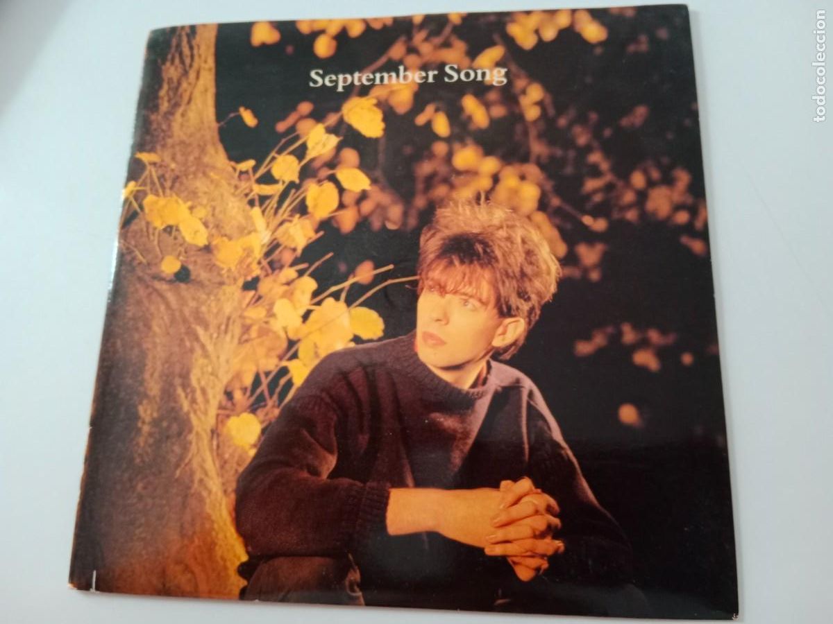 Discos de vinilo: SINGLE IAN MCCULLOCH - SEPTEMBER SONG - Foto 1