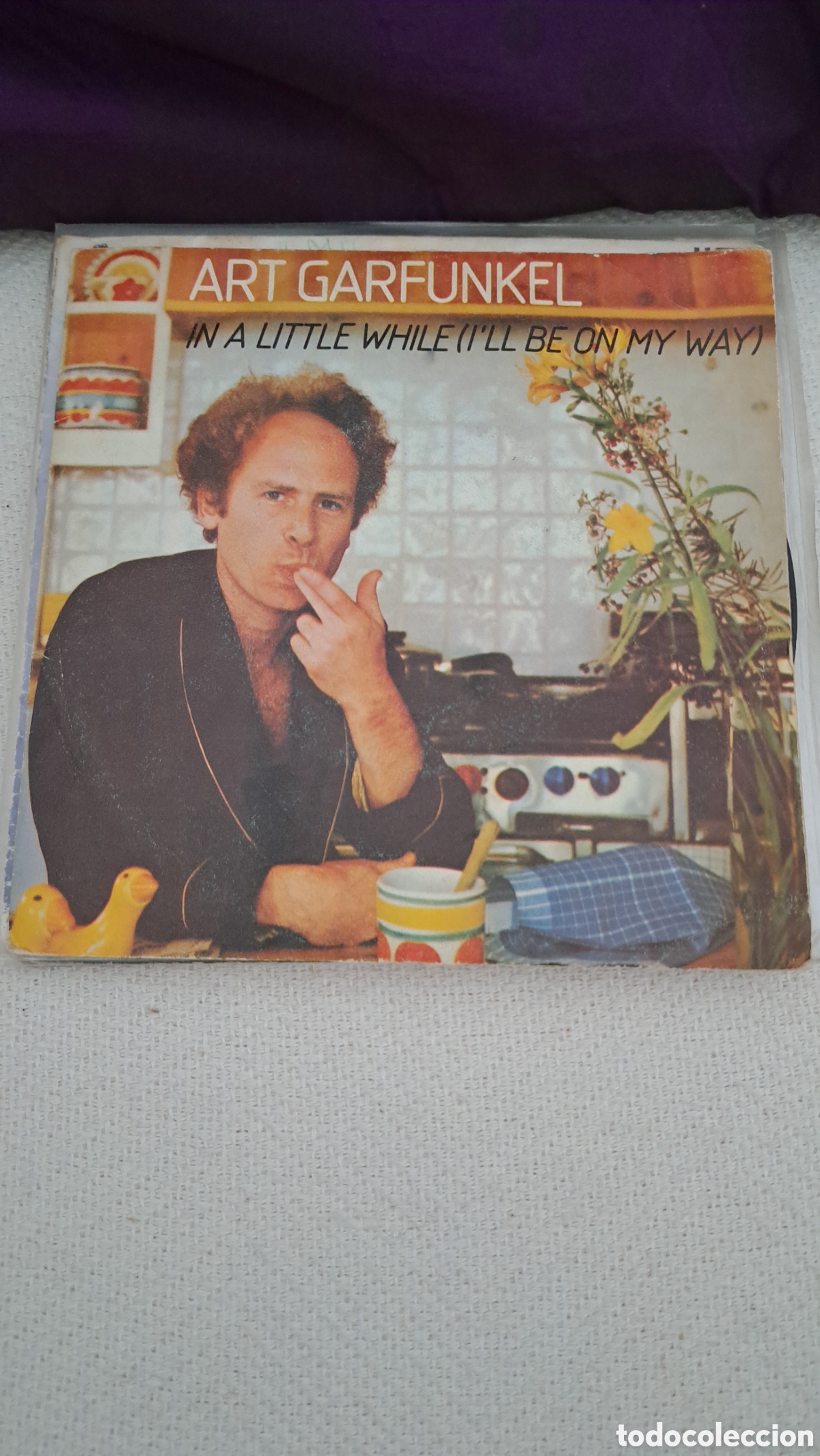 Discos de vinilo: ART GARFUNKEL In a little while - Foto 1