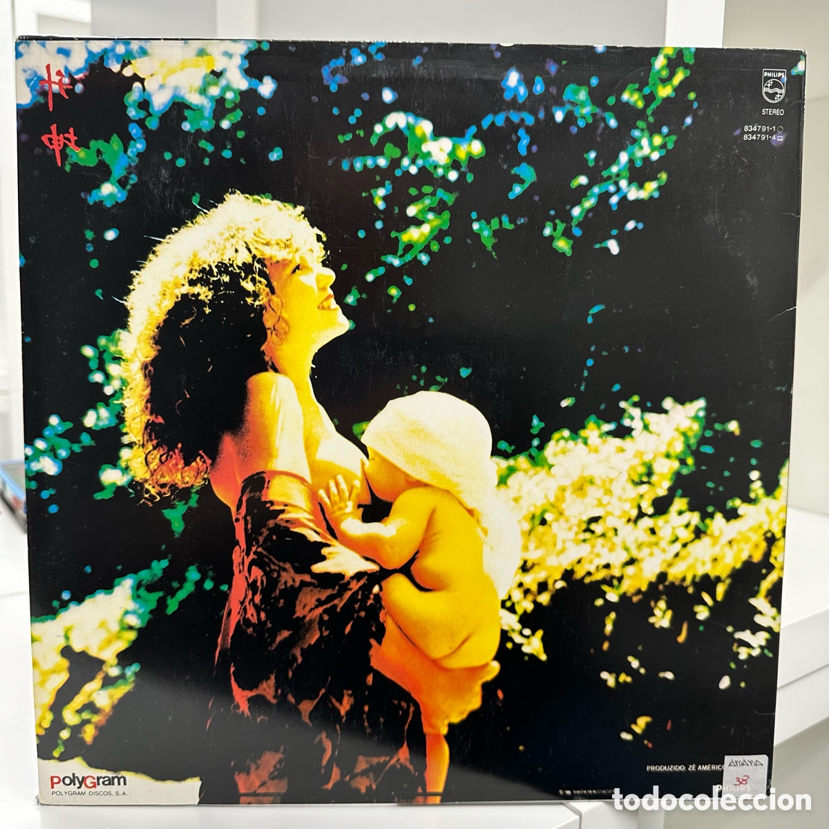 Discos de vinilo: Elba Ramalho - Fruto (LP, Album) - Foto 2