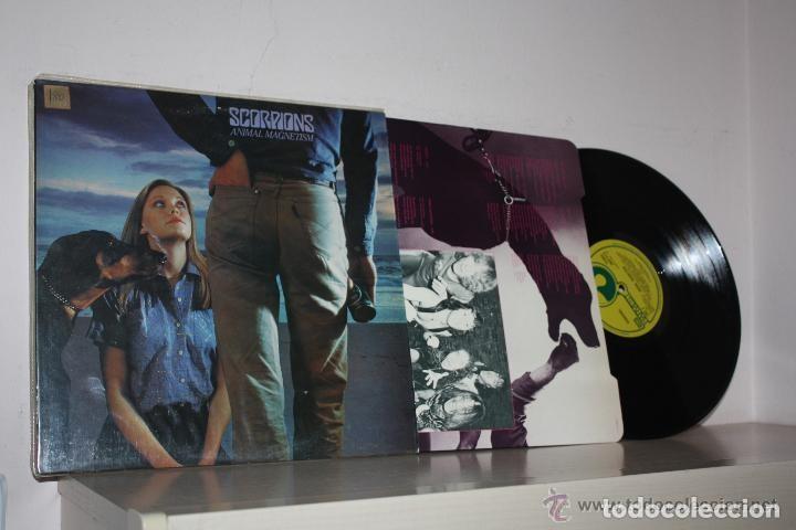 Discos de vinilo: SCORPIONS *ANIMAL MAGNETISM - Foto 1
