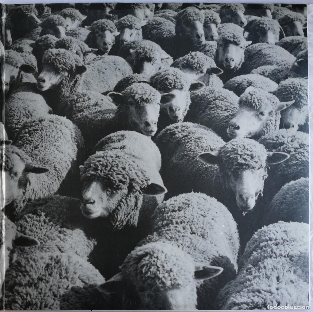 Discos de vinilo: Jean Ferrat, Jean Ferrat, - Foto 3