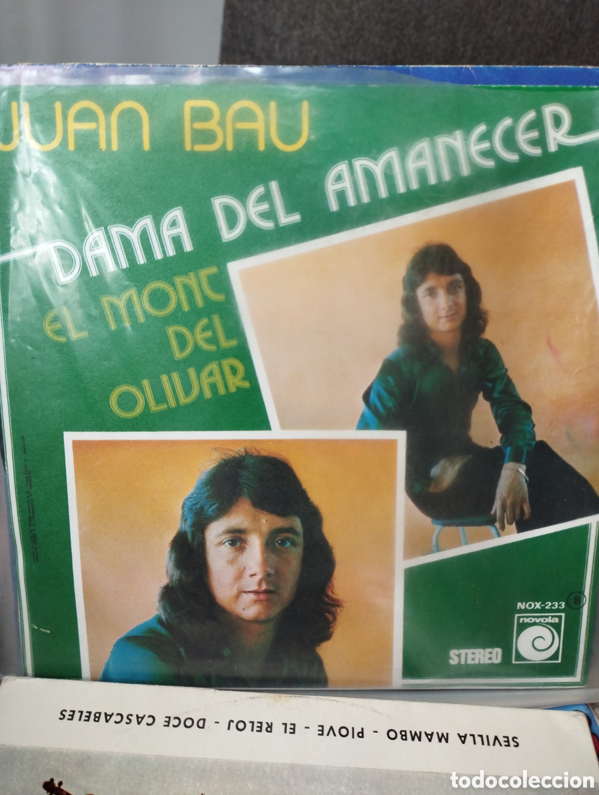 Discos de vinilo: Lote de vinilos variados de todos los g&eacute;neros - Foto 1