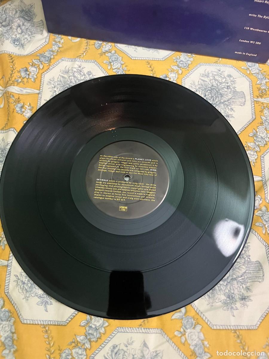 Discos de vinilo: the Dylans &lrm;&ndash; Planet Love - Foto 3
