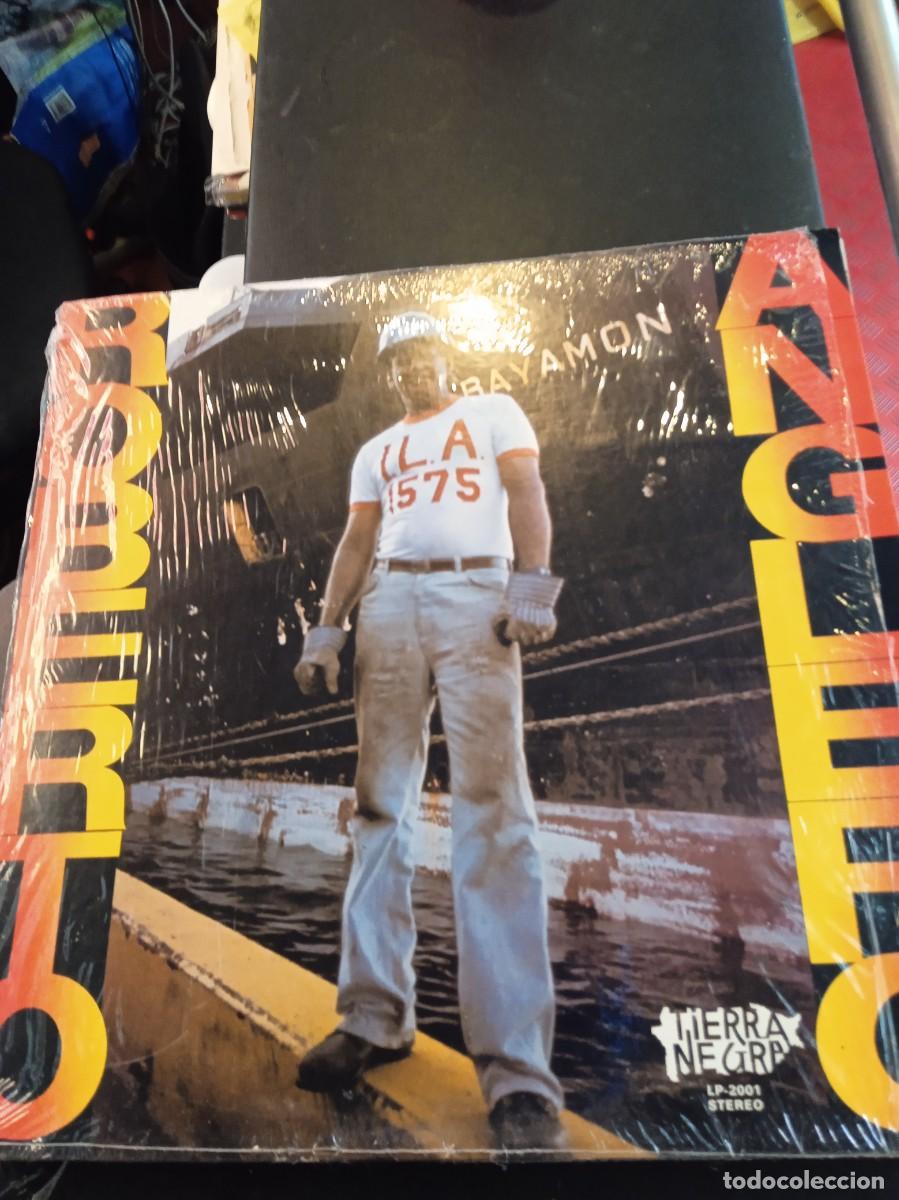 Dischi in vinile: ROBERTO ANGLERO- ROBERTO ANGLERO. LP MINT