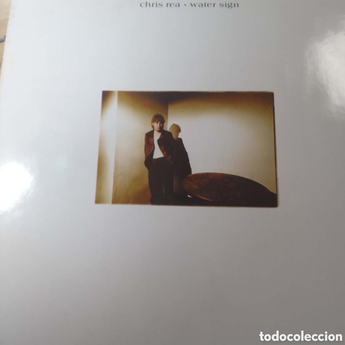 Discos de vinilo: CHRIS REA WATER SIGN - Foto 1