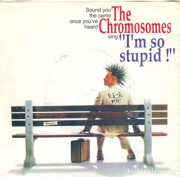 Discos de vinilo: The Chromosomes &ndash; Im So Stupid - Foto 1