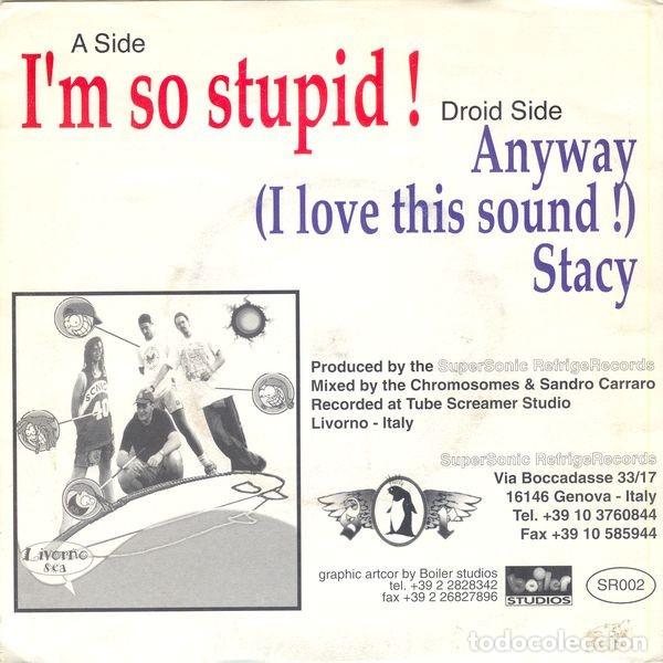 Discos de vinilo: The Chromosomes &ndash; Im So Stupid - Foto 2