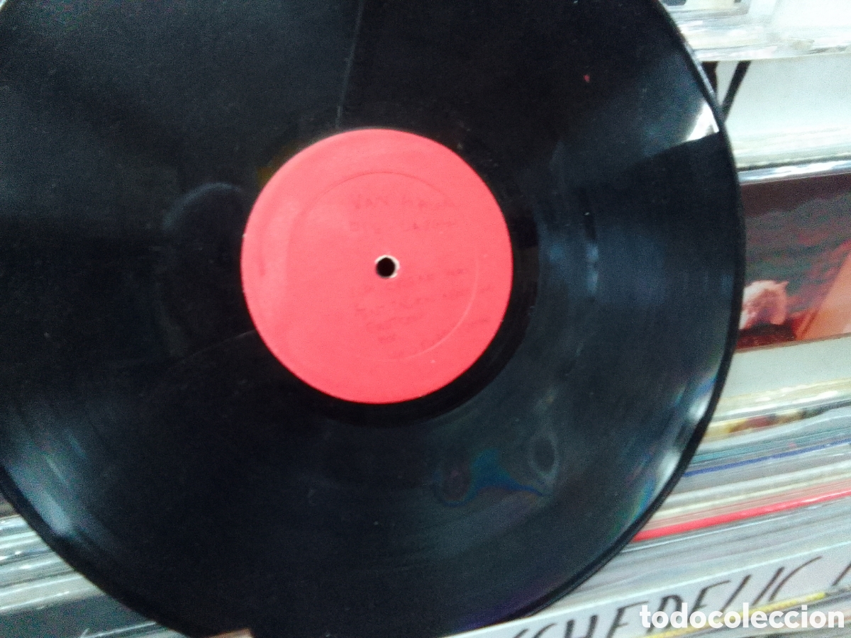 Discos de vinilo: Van Halen Die laughing - Foto 5