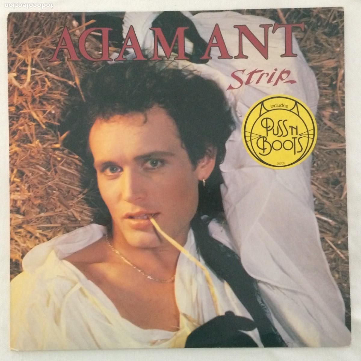 Discos de vinilo: Adam Ant &lrm;&ndash; Strip Holanda 1983 CBS - Foto 1
