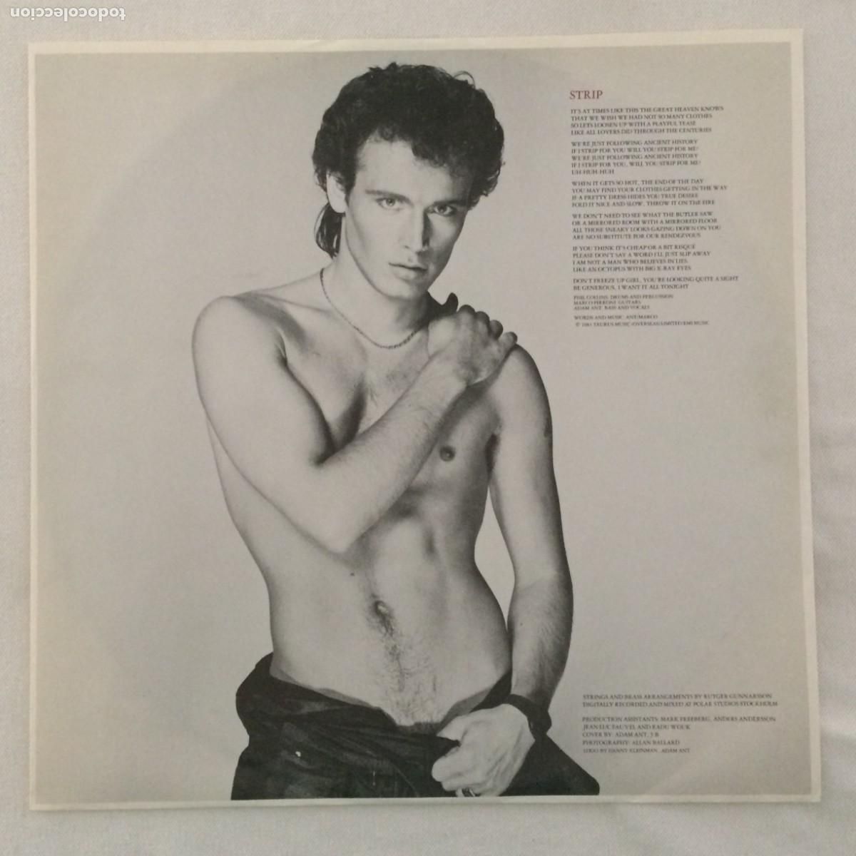 Discos de vinilo: Adam Ant &lrm;&ndash; Strip Holanda 1983 CBS - Foto 3