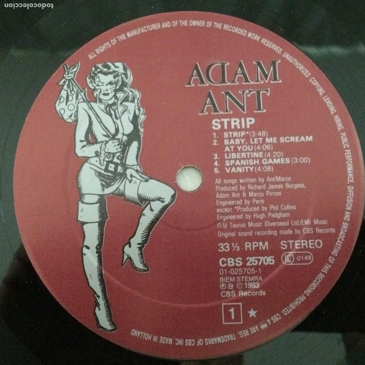Discos de vinilo: Adam Ant &lrm;&ndash; Strip Holanda 1983 CBS - Foto 5