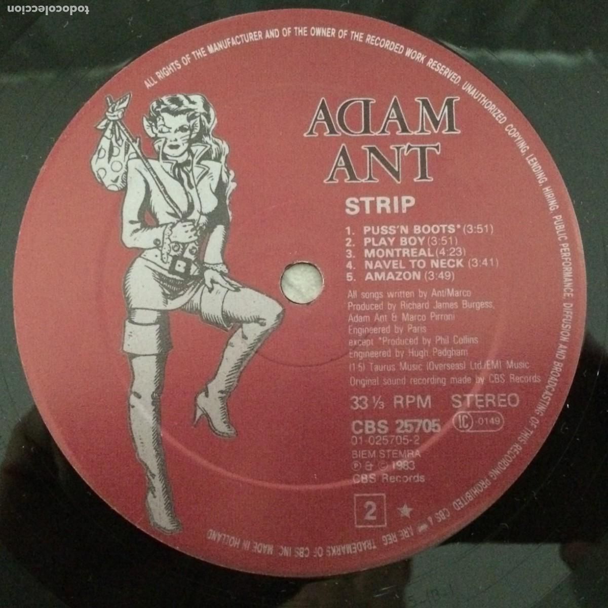Discos de vinilo: Adam Ant &lrm;&ndash; Strip Holanda 1983 CBS - Foto 6
