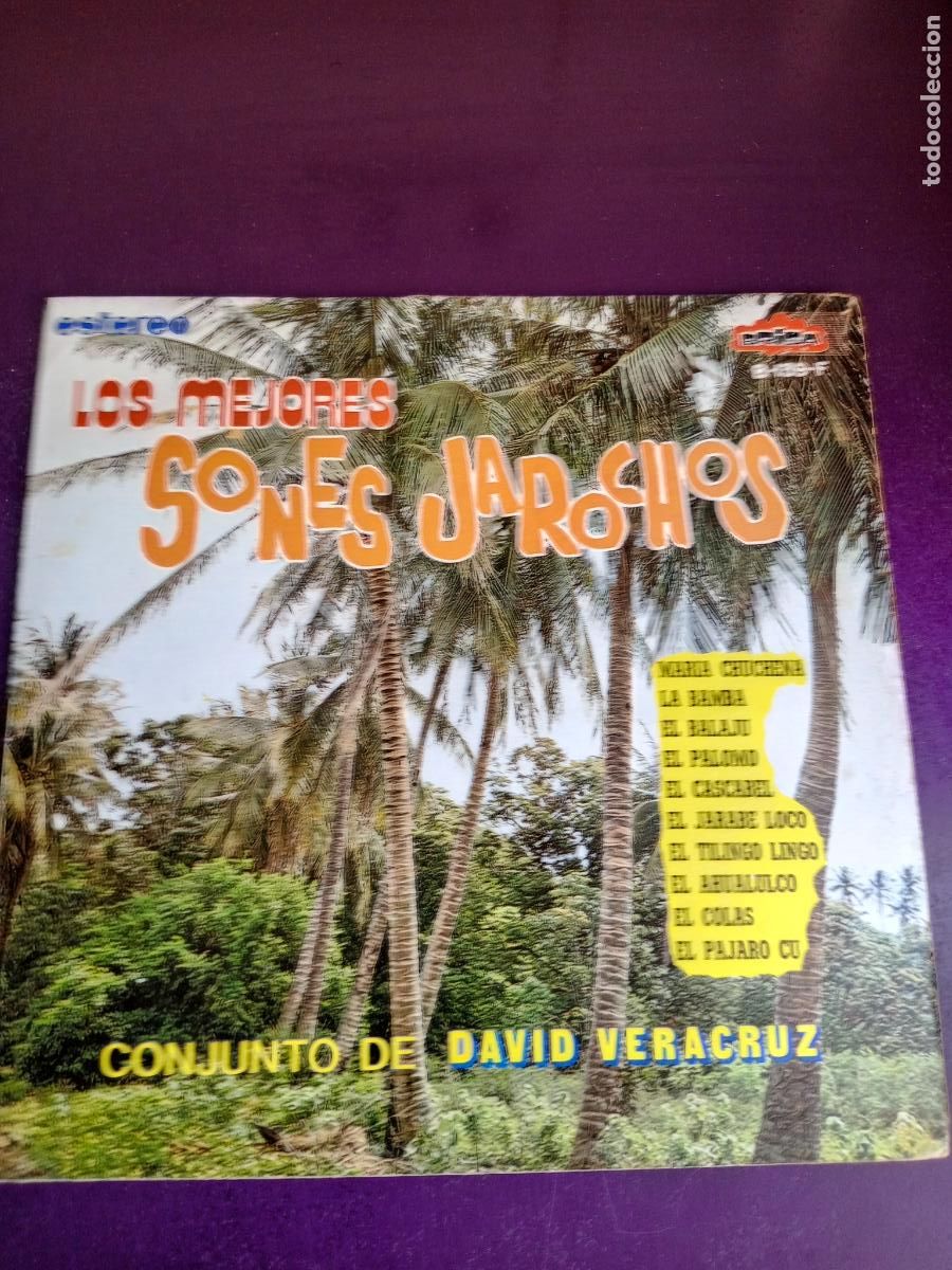 Dischi in vinile: LOS MEJORES SONES JAROCHOS DE DAVID VERACRUZ - LP BRISA 70'S - POCO USO - FOLK CARIBE