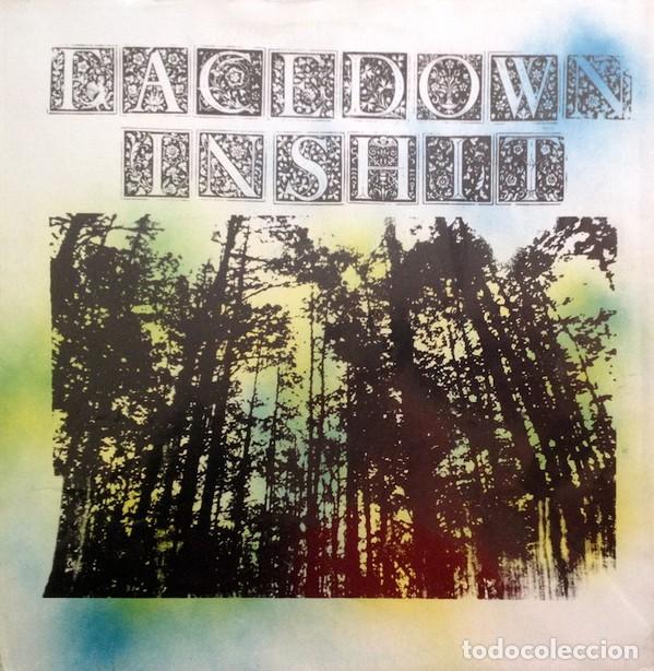 Discos de vinilo: Facedowninshit &lrm;&ndash; Concrete World - LP - 2001 - Foto 1